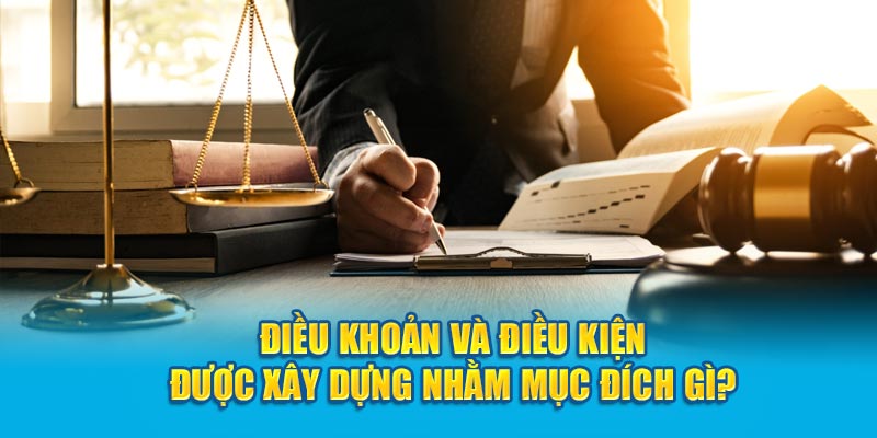 Điều khoản và điều kiện được xây dựng nhằm mục đích gì?